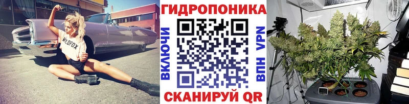 Шишки марихуана гибрид  Пошехонье 